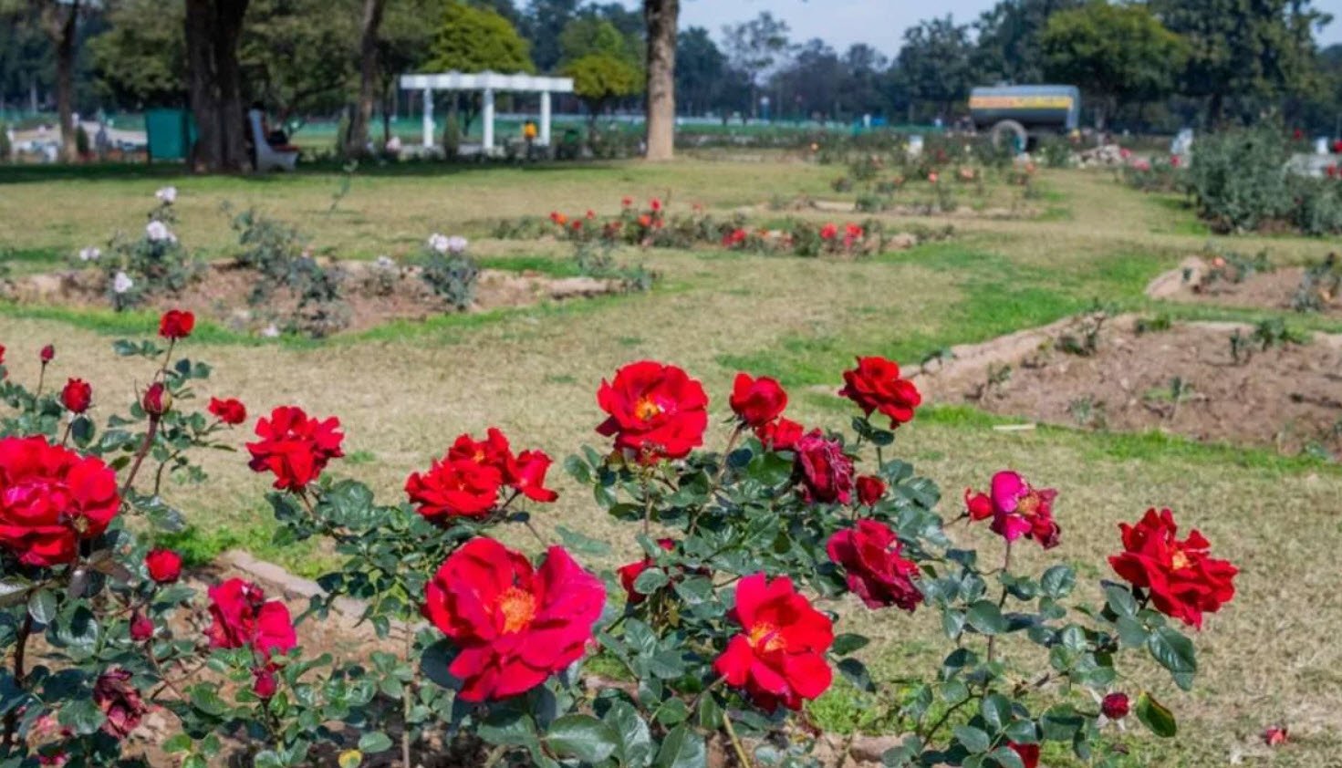 Zakir Hussain Rose Garden